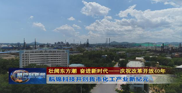 改革开放40年：金沙城js93线路检测中心科技开创我市化工产业新纪元